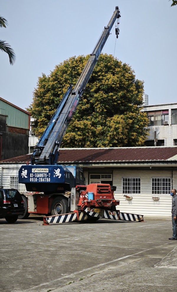 新竹吊車大型樹木移除